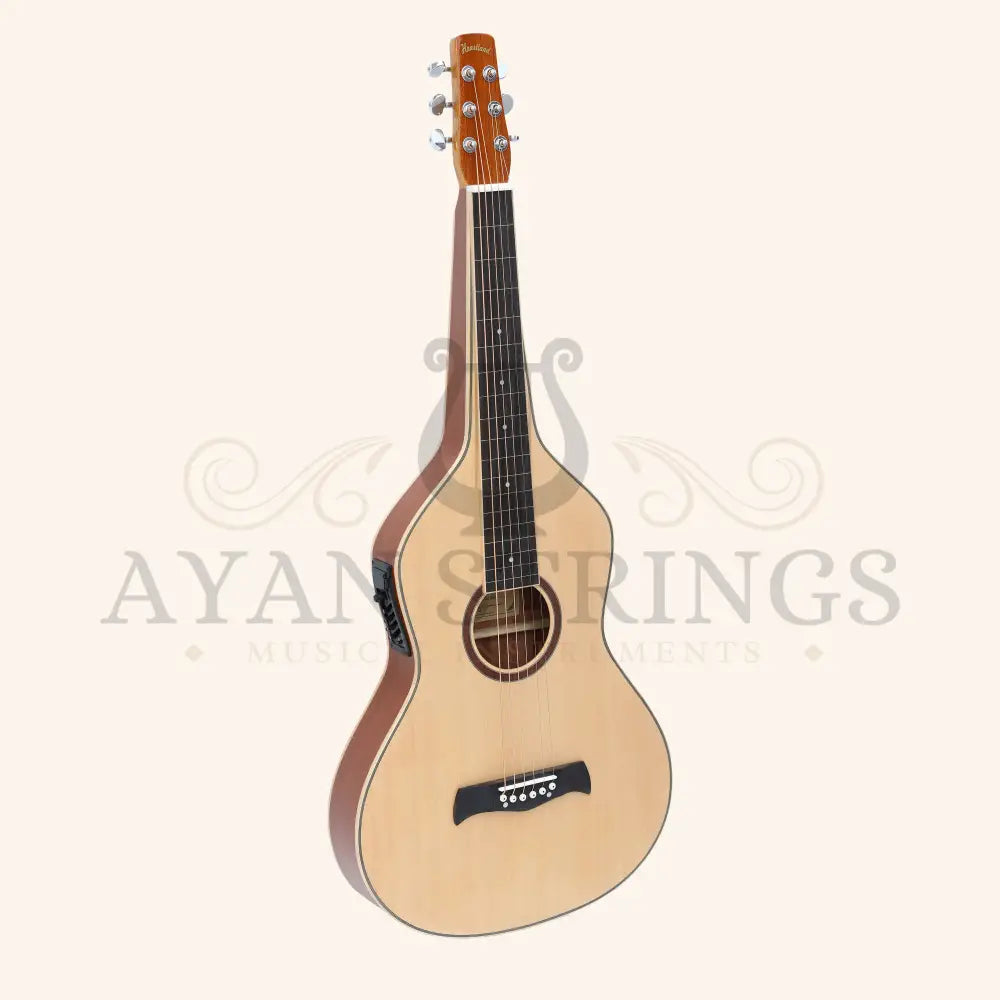 Heartland Weissenborn guitar The Session Master - Stringed Instruments