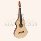 Heartland Weissenborn guitar The Session Master - Stringed Instruments