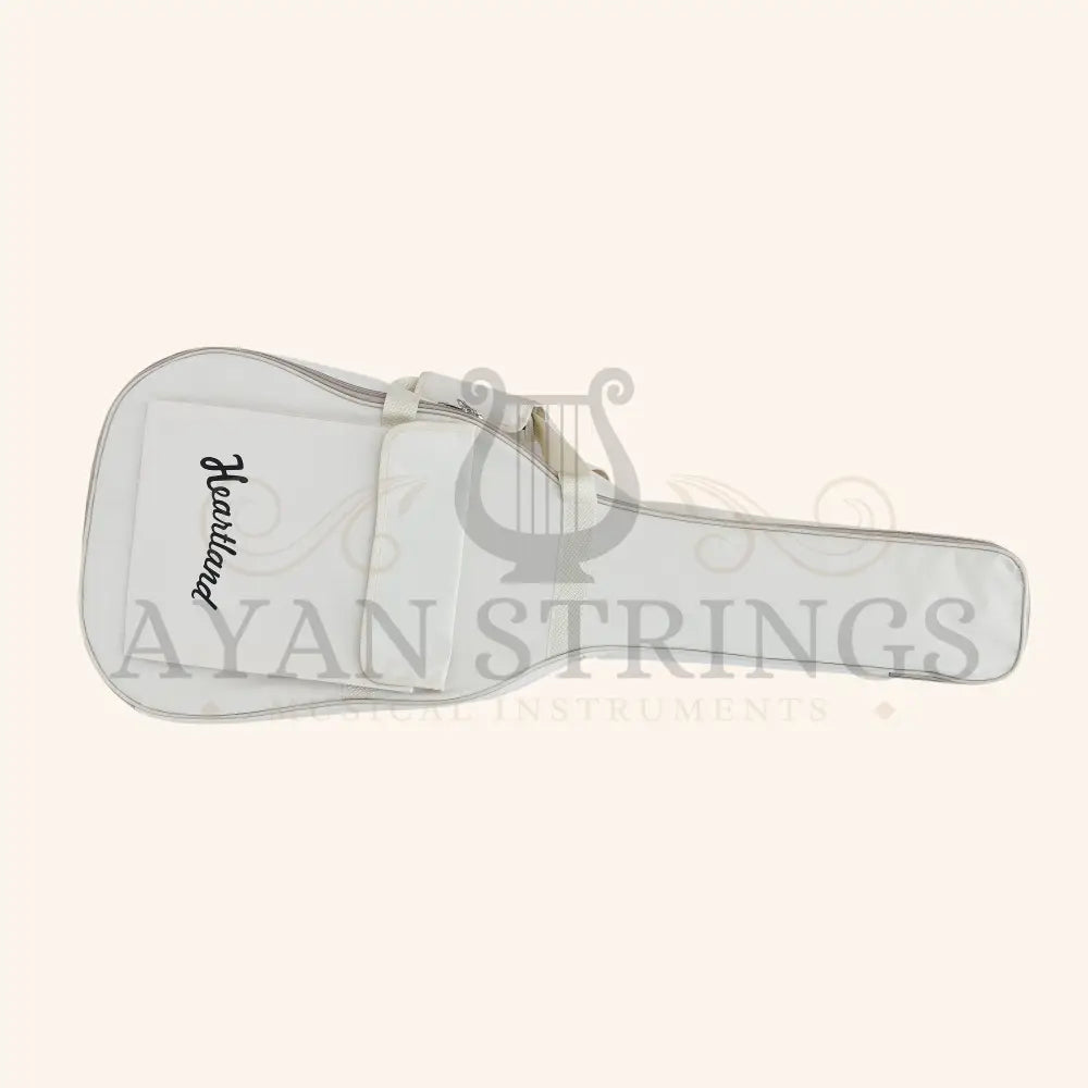 Heartland Weissenborn guitar The Session Master - Stringed Instruments