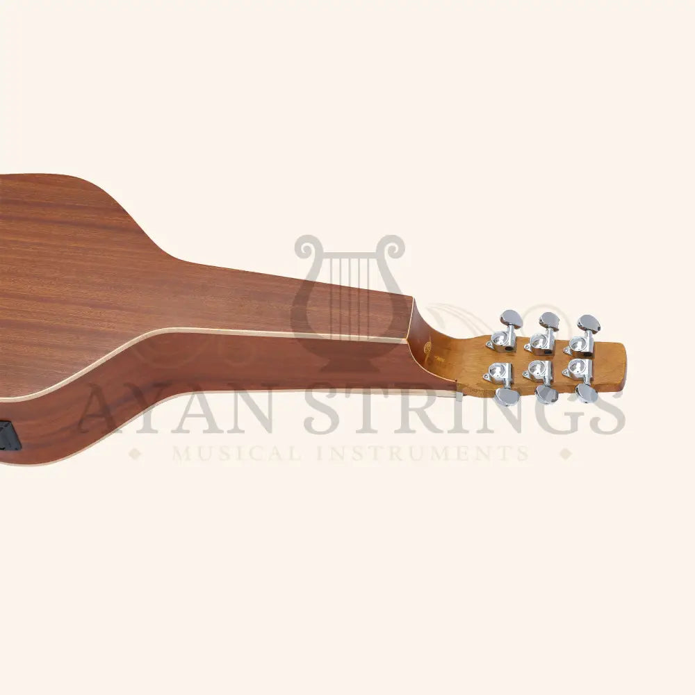Heartland Weissenborn guitar The Session Master - Stringed Instruments