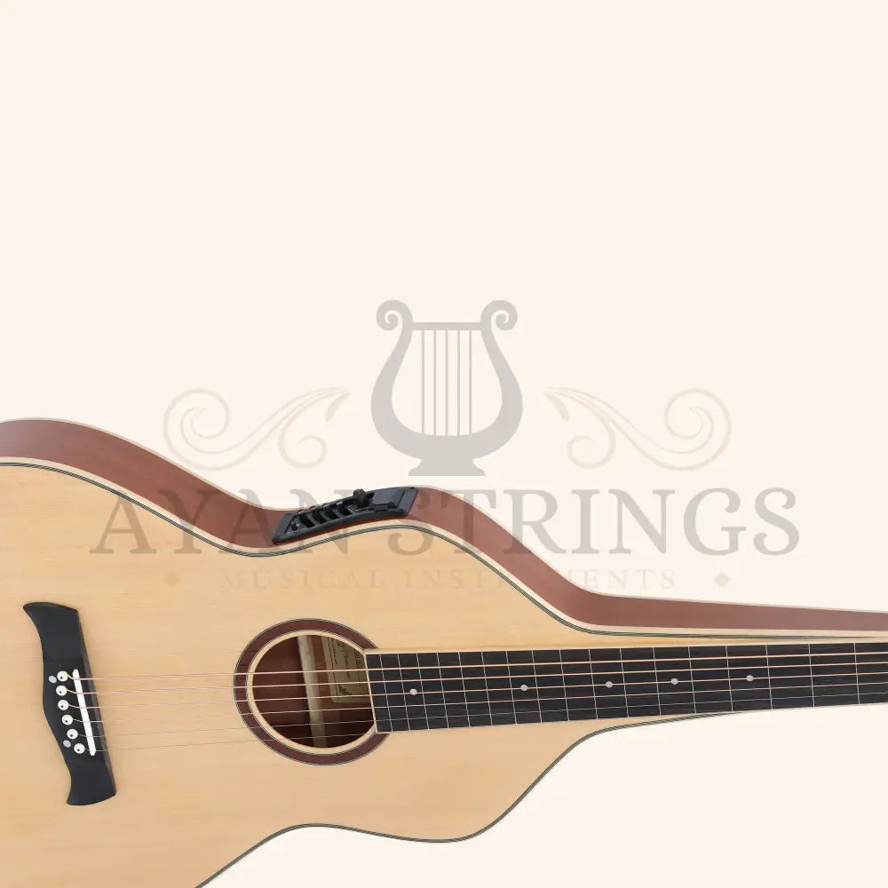 Heartland Weissenborn guitar The Session Master - Stringed Instruments