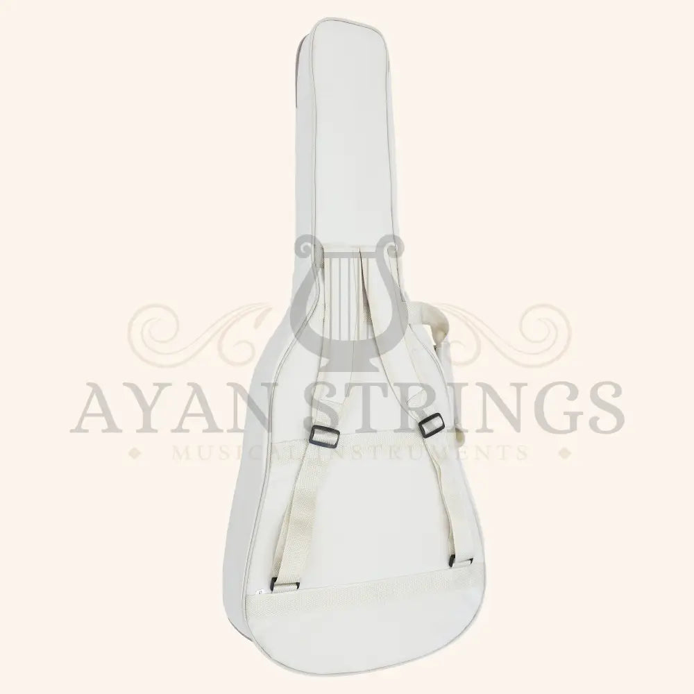 Heartland Weissenborn guitar The Session Master - Stringed Instruments