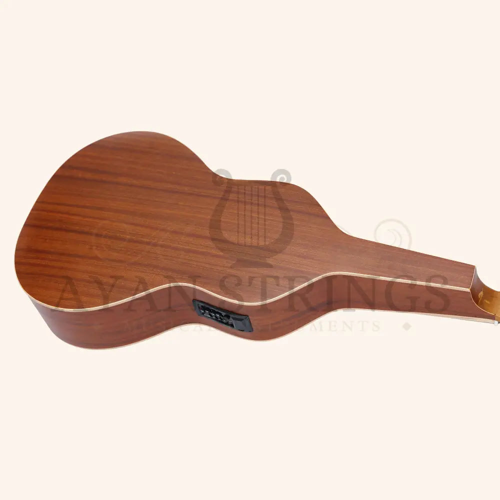 Heartland Weissenborn guitar The Session Master - Stringed Instruments