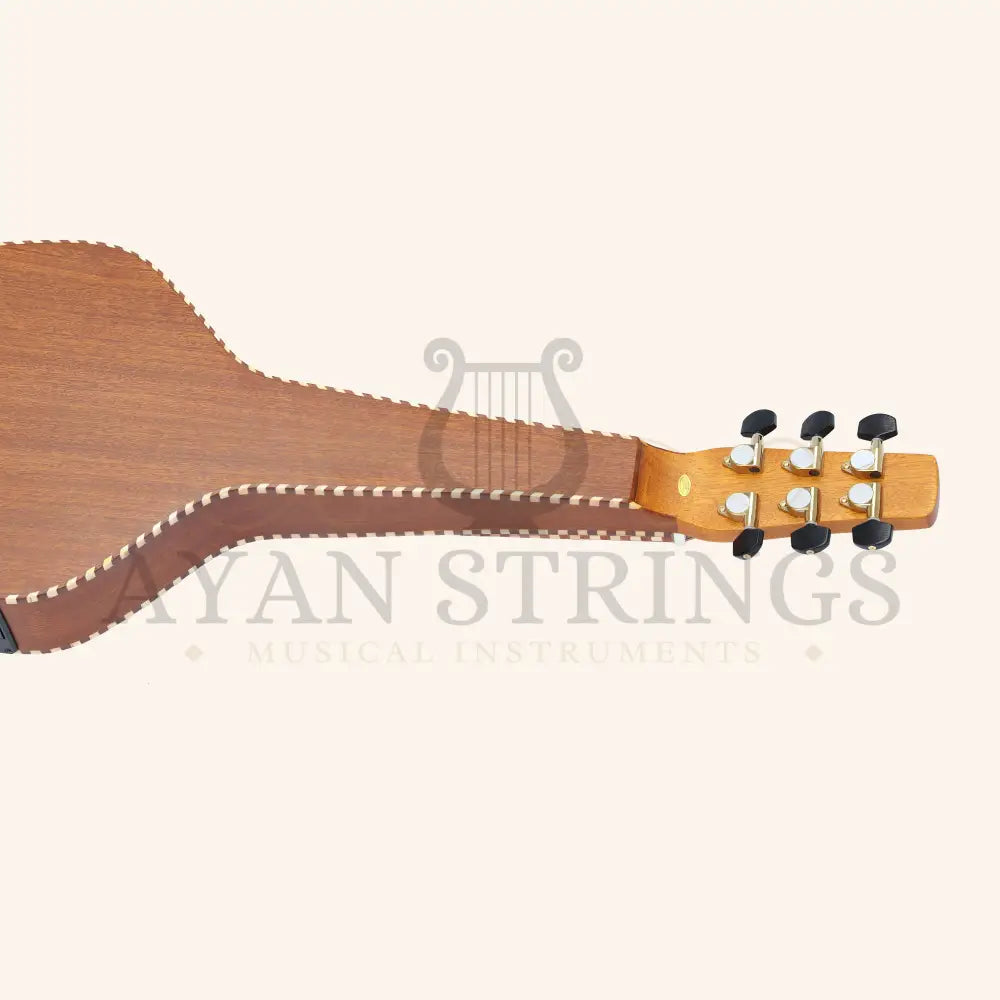 Heartland Weissenborn guitar - The Stage Master - Stringed Instruments
