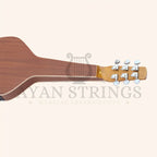 Heartland Weissenborn guitar - The Work Horse - Stringed Instruments