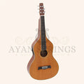 Heartland Weissenborn guitar - The Work Horse - Stringed Instruments