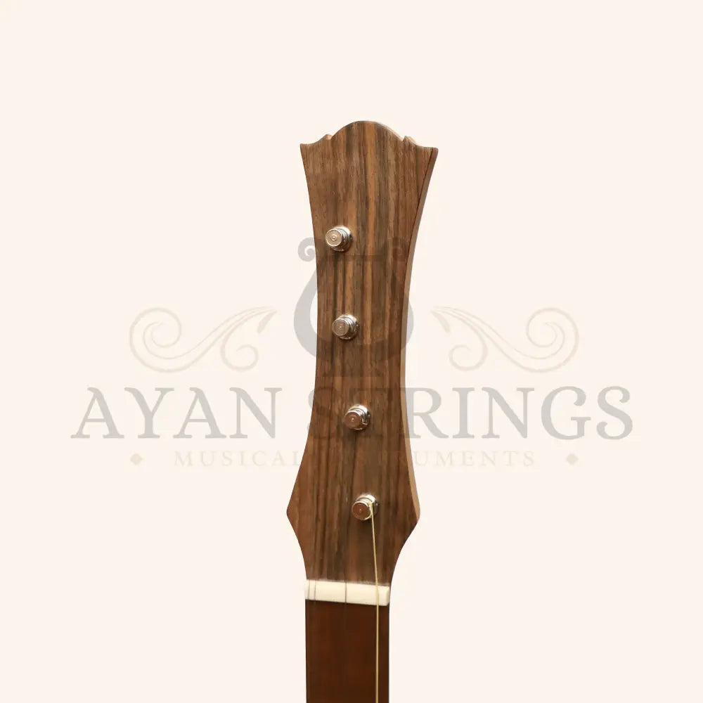 Heartland Wildwood Dulcimer Banjo 4 String Left Hand - Stringed Instruments