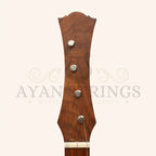 Heartland Wildwood Dulcimer Banjo 4 String Rosewood Left Hand - Stringed Instruments