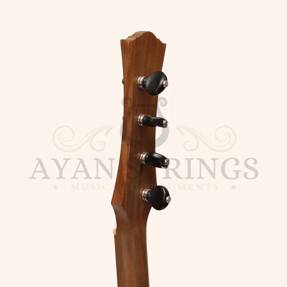 Heartland Wildwood Dulcimer Banjo 4 String - Stringed Instruments