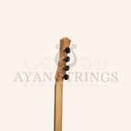 Heartland Wildwood Dulcimer Banjo 4 String - Stringed Instruments