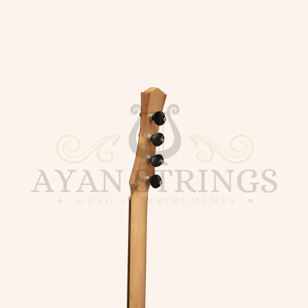 Heartland Wildwood Dulcimer Banjo 4 String - Stringed Instruments