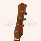 Heartland Wildwood Dulcimer Banjo 4 String - Stringed Instruments