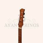 Heartland Wildwood Dulcimer Banjo 4 String - Stringed Instruments