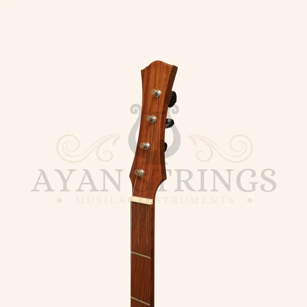 Heartland Wildwood Dulcimer Banjo 4 String - Stringed Instruments