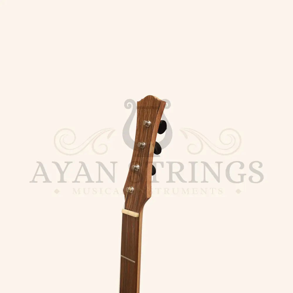 Heartland Wildwood Dulcimer Banjo 4 String - Stringed Instruments