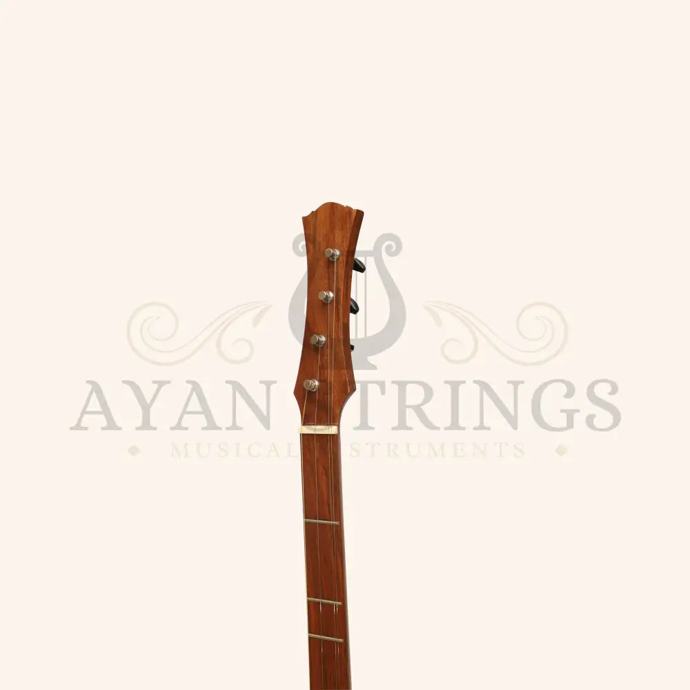Heartland Wildwood Dulcimer Banjo 4 String - Stringed Instruments
