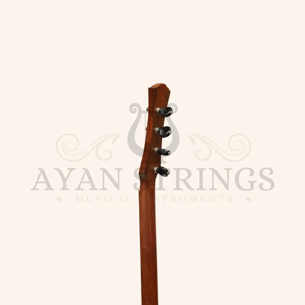 Heartland Wildwood Dulcimer Banjo 4 String - Stringed Instruments