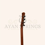 Heartland Wildwood Dulcimer Banjo 4 String - Stringed Instruments