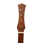 Heartland Wildwood Dulcimer Banjo, 4 String Left Hand