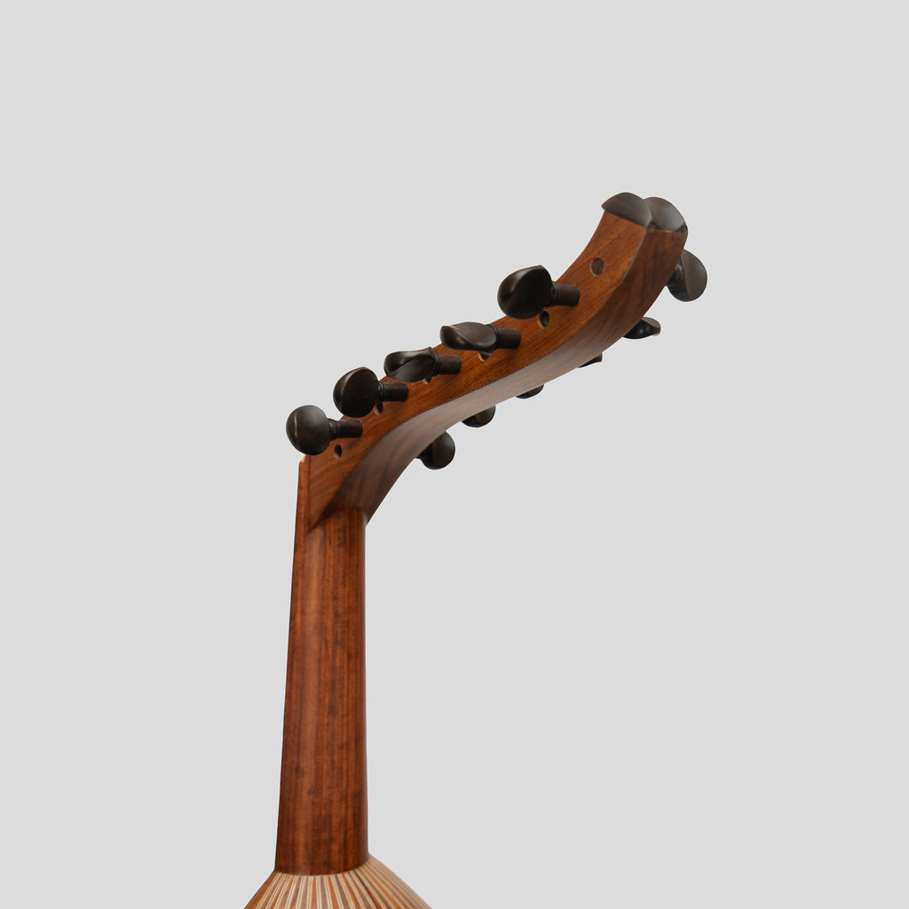 Heartland Turkish Variegated Oud 11 String