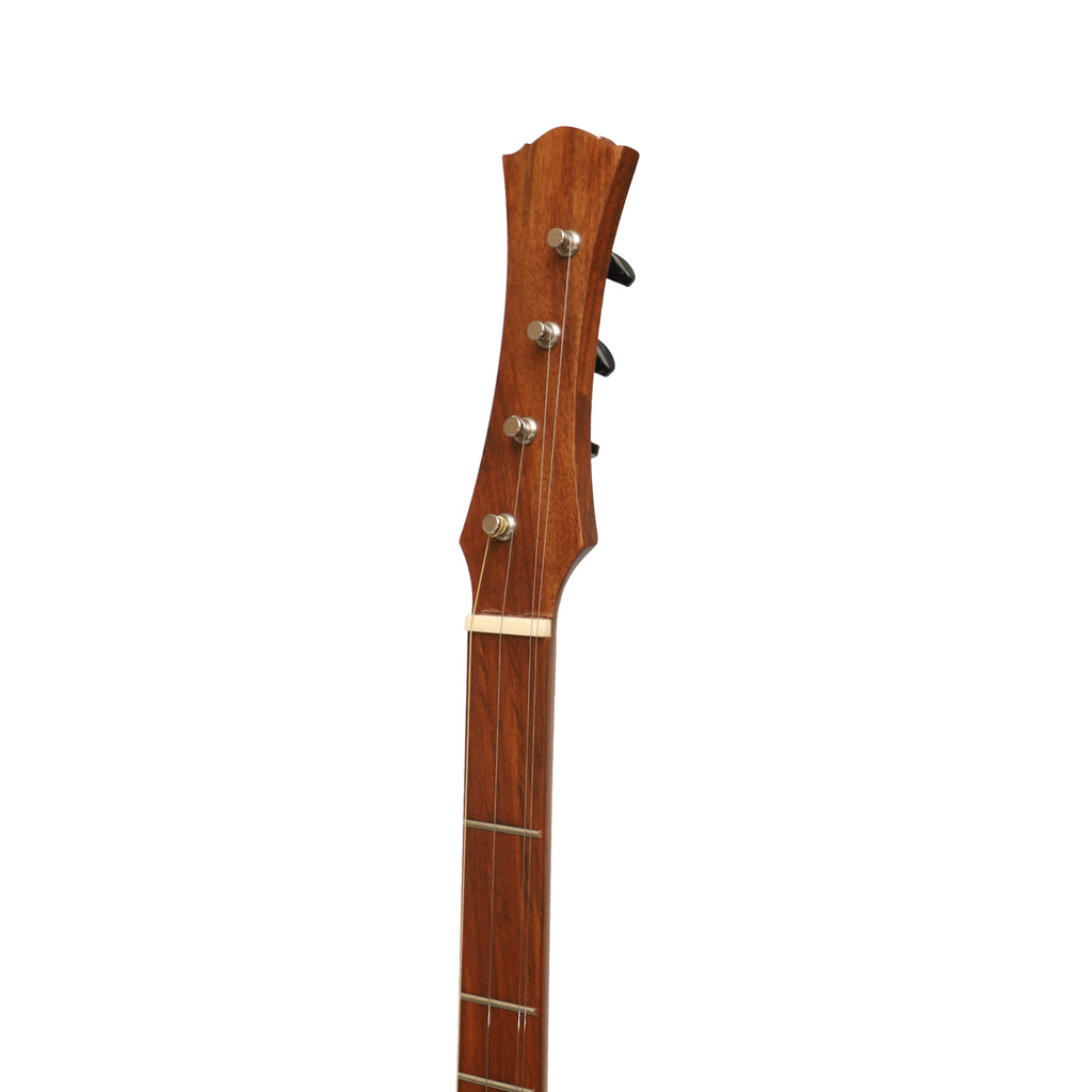 Heartland Wildwood Dulcimer Banjo, 4 String