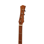 Heartland Wildwood Dulcimer Banjo, 4 String