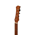 Heartland Wildwood Dulcimer Banjo, 4 String