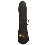 Heartland Wildwood Dulcimer Banjo, 4 String