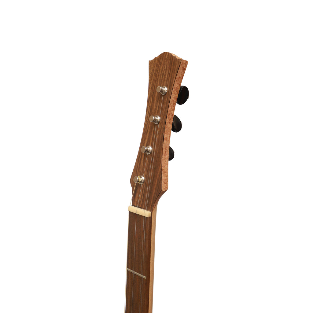 Heartland Wildwood Dulcimer Banjo, 4 String