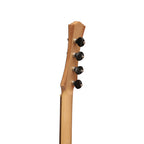 Heartland Wildwood Dulcimer Banjo, 4 String