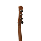 Heartland Wildwood Dulcimer Banjo, 4 String