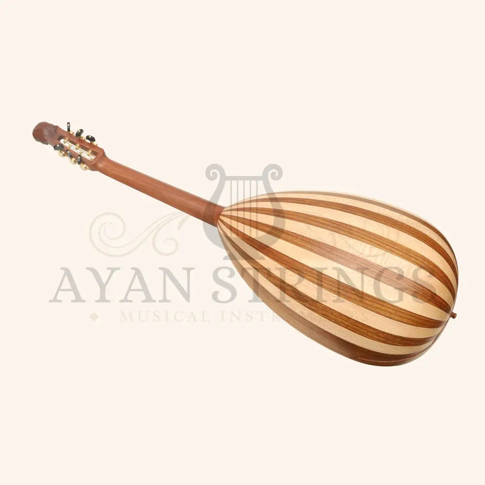 Lute Guitar 6 String Variegated Lacewood Rosewood - Stringed Instruments