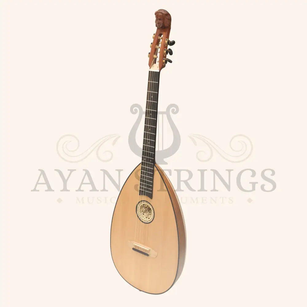 Lute Guitar 6 String Variegated Lacewood Rosewood - Stringed Instruments