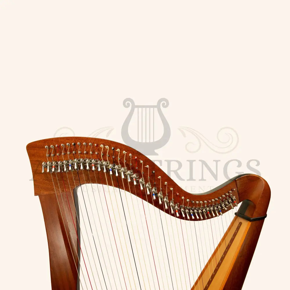 Mchugh Ayra Harp 38 Strings Mahogany - Stringed Instruments