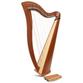 27 String McHugh Harp Round Back