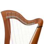 27 String McHugh Harp Round Back