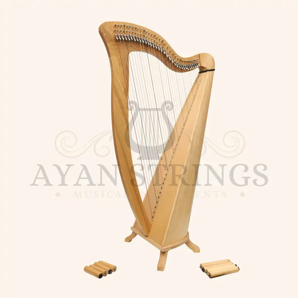 McHugh Harp 34 Strings Ashwood Round back - Stringed Instruments