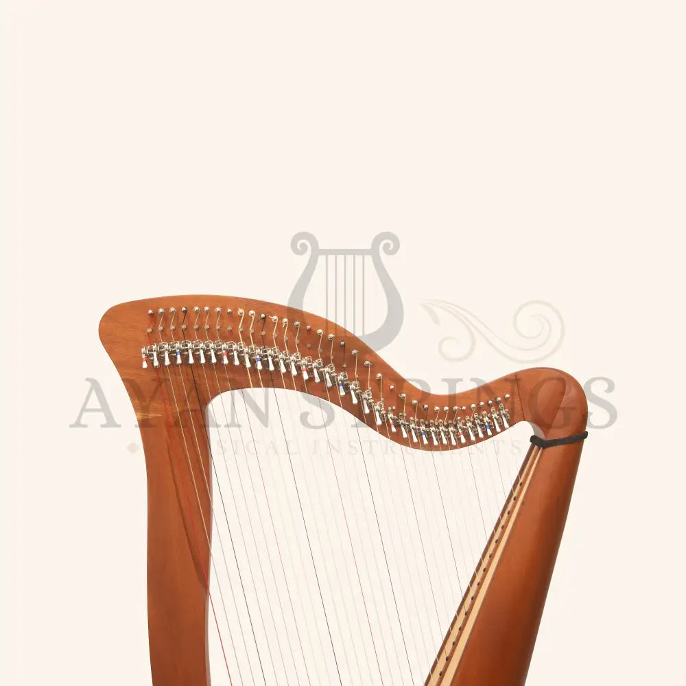 McHugh Harp 34 Strings Mahogany Wood Round back - Stringed Instruments