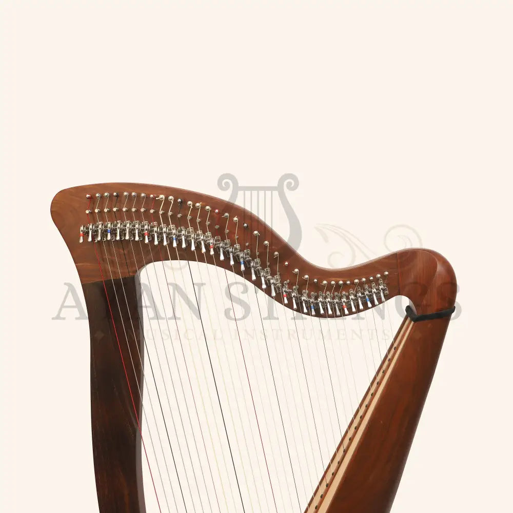 McHugh Harp 34 Strings Rosewood Round back - Stringed Instruments