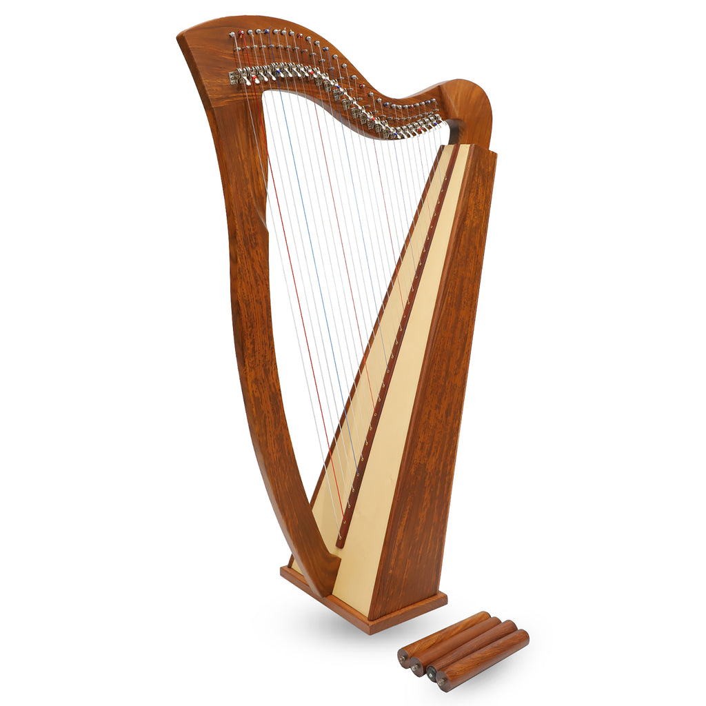27 String Mchugh Harp Square Back
