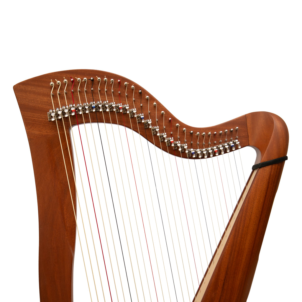 29 Strings McHugh Harp Round Back