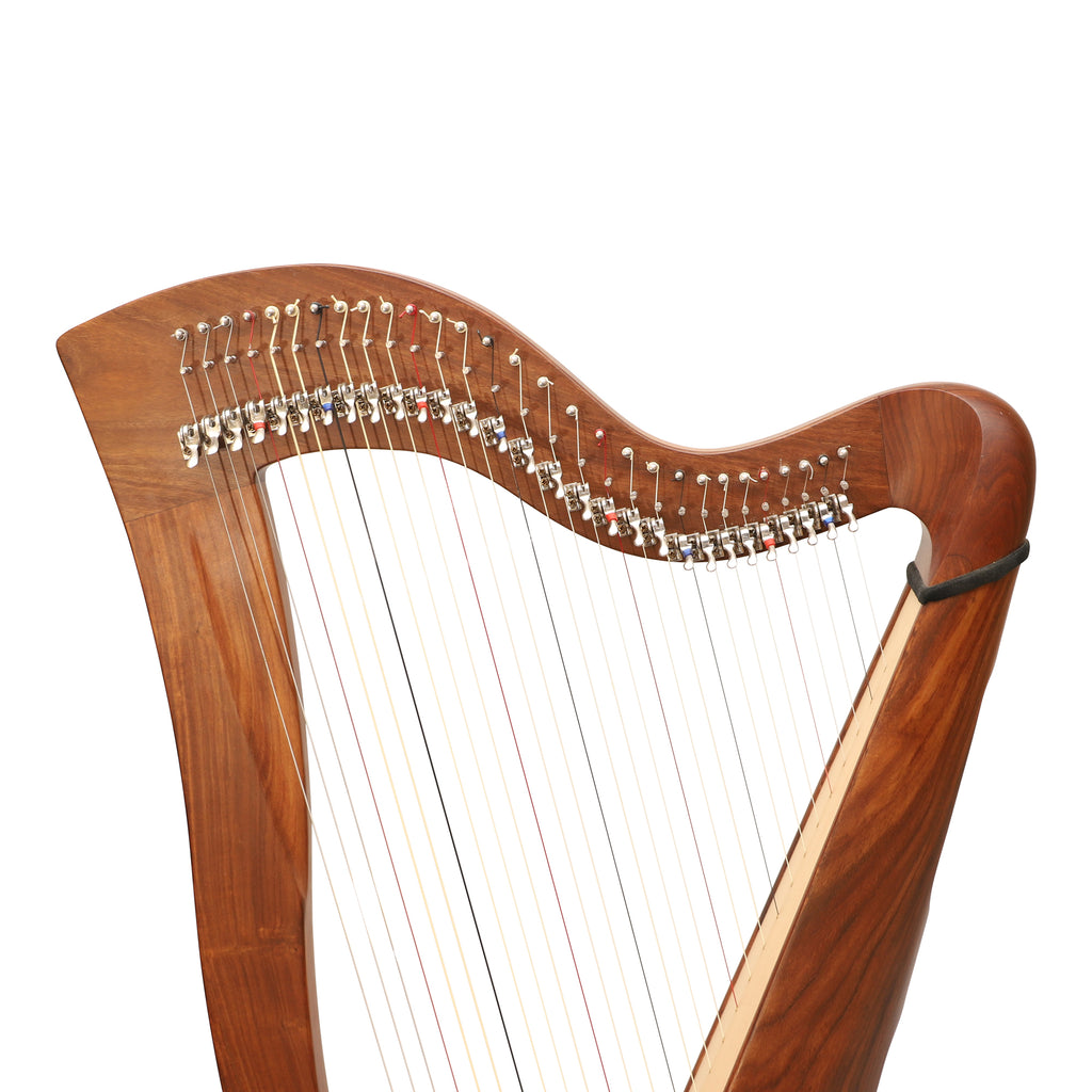 29 Strings McHugh Harp Round Back
