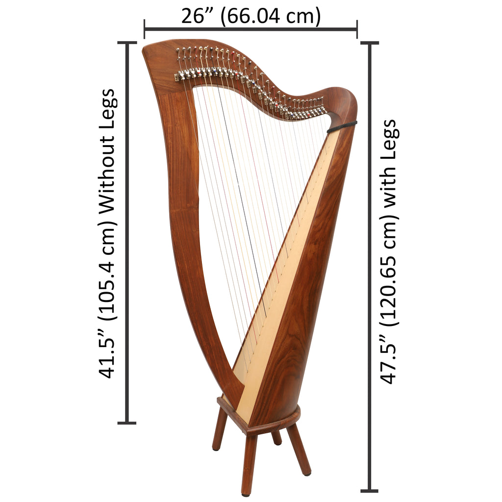 29 Strings McHugh Harp Round Back