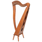 29 String McHugh Harp Square Back