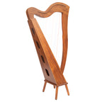 29 String McHugh Harp Square Back