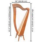 29 String McHugh Harp Square Back