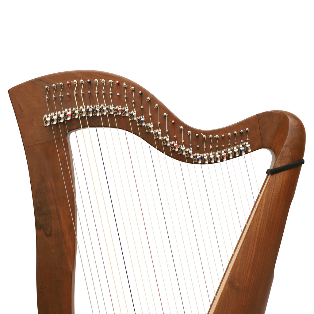 29 Strings McHugh Harp Round Back