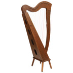 29 String McHugh Harp Square Back