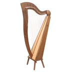 29 String McHugh Harp Square Back