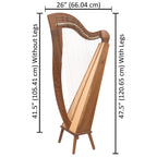 29 String McHugh Harp Square Back